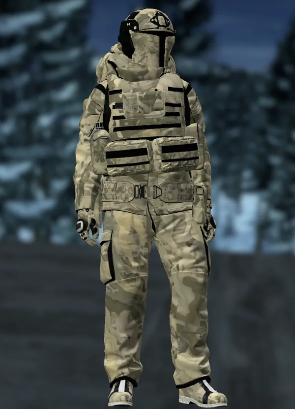 A survivor in a custom desert camo armor set with plate carrier and helmet on Is Dead