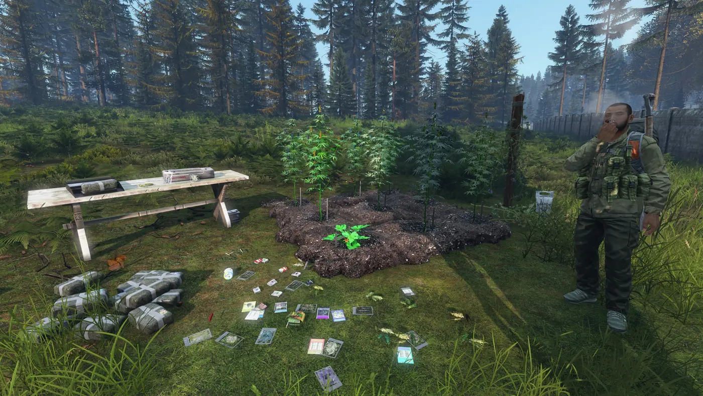 A cannabis grow on Is Dead with plants in a garden plot, a drying table, and packed bricks